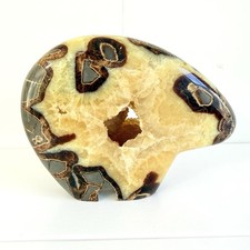Septarian Nodule Bear Figure Large, 7 in, Fossil Remnant, Zuni Style Fetish Bear picture