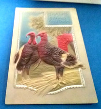 (pgasteelers1) Thanksgiving - Two large turkey's - Cancelled Nov 1908 No stamp🌠 picture