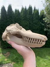 9.5” Killer Whale Orca Skull Replica – 3D Printed from CT Scan picture