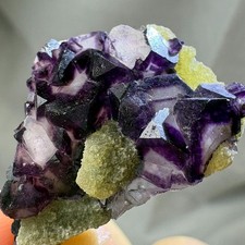 Natural Crystal Phantom Fluorite w/ Mica Cluster Rare Specimen Raw Mineral picture