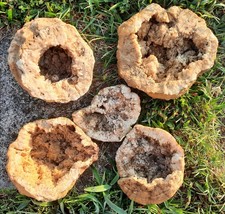 Over 12 Pounds of Southern Kentucky Calcite Geode Specimens 5-7