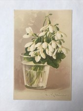 Postcard Artist Signed C Klein  Still Life ￼flowers￼ picture