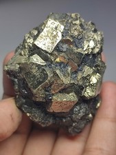 Pyrite/Marcasite Beautiful Specimen With Unique Cubic Crystal Growth Growth-Pak. picture