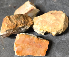 2.51 LBS Celestobarite, Orange Barite, (4) Uncut and Faced Rough Rock Pieces picture