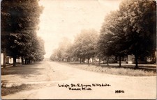 Leigh Street from Hillsdale Homer Michigan Real Photo Postcard 1912 picture