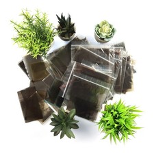 10 Vintage 60mm Film Negatives Lot - Black & White 6x9 Medium Format 120/220/620 picture