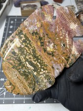 Gorgeous Ocean Jasper Fish Carving Colorful Orbs picture