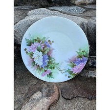 Antique 1910 Hand Painted Porcelain Floral Plate Signed E.J. Jenness Startup picture
