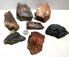 Hampton Butte PETRIFIED WOOD 7 Specimens 2 lbs 14 ozs Green Red Tan Desktop picture