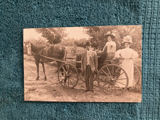 RPPC Millington Michigan Curious Horse Posted 1909 Essie Sims East Tawas Mi picture
