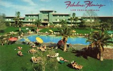 c1960s Fabulous Flamingo Hotel Pool Sunbathers  Las Vegas Nevada P220 picture