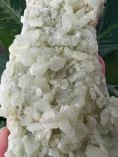 Large Prehnite Crystal Plate - Bladed Fan Formations - Seafoam Green Specimen picture
