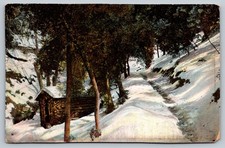 Vintage Mt. Lowe Trail Winter Scene Postcard by M. Rieder Los Angeles picture