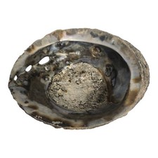 Vintange Large Abalone Shell 6