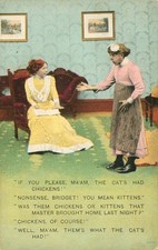 Humorous Antique Postcard Madam and Old Maid Chickens Cats Kittens  N picture