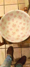 Antique Victorian Pink Transferware 14