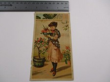 1886 TRADE CARD ADVERTISING GREAT AMERICAN TEA CO. N.Y. WEBSTER'S DICTIONARY picture
