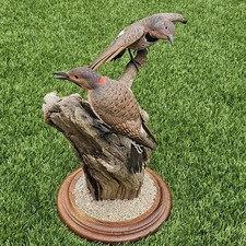 VTG Hand Carved WOOD 2 Northern Flicker Birds On Driftwood Mount Incredible Art  picture