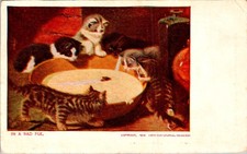 1908 Comic Postcard In A Bad Fix Kittens Bowl Chromo Chicago Sunday American picture