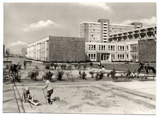 Photo postcard Rostock-Lütten Klein Binzer Straße kindergarten 1974 picture