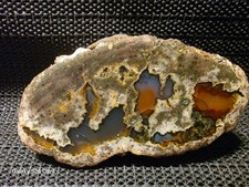 VERY RARE Spectacular POLISHED Desolation Canyon Thunderegg 1/2, Oregon picture