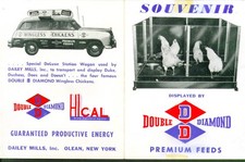 Double Diamond Wingless Chickens Souvenir Card 1950s picture