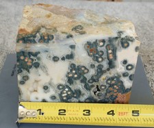 3lb 3oz Ocean Jasper Slab Rough Orbs Collector Lapidary old stock picture