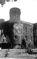 Castle At Castle Park Michigan MI - 11x17 Reprint picture