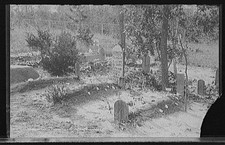 Photo:Aiken SC Magnolia Colored Cemetery 1900s Tombstones Graveyard picture