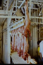 c1970's 35mm Slide, Butcher Shop Hanging Meat ΚΡΕΟΠΩΛΕΙΟ Greek Sign Color Photo picture