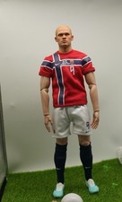 custom 1/6 （Erling Haaland picture