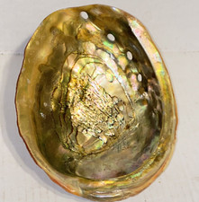 Vintage Large Red Abalone Shell Dish Gold Rainbow Iridescence Smudge Pot  Decor picture