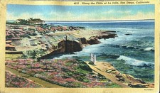 Postcard Along the Cliffs at La Jolla San Diego CA Linen picture