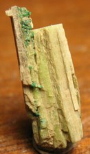 Grossular Garnets on Diopside from Quebec, Canada picture