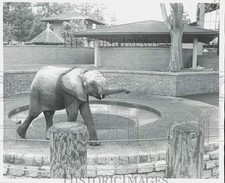 1972 Press Photo Elephant at the Woodland Park Children's Zoo - lra50956 picture