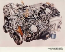 1995 Chevrolet 5.7 Liter V8 LT1 Engine Color Cutaway Illus Press Photo 0115 picture
