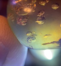 2 MOVING ENHYDROS Bubbles in Burmese Burmite Amber Cretaceous Rain Dino Water picture