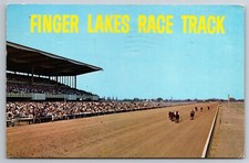 Finger Lakes Race Track Horse Racing Canandaigua NY C1960s Postcard AC16 picture