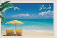 Vintage Florida with Beach Chairs Beach Scene Postcard picture