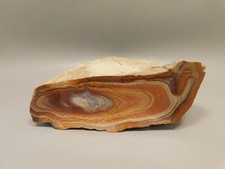 Wonderstone Rhyolite Pink Banded Polished Rock Utah #O11 picture