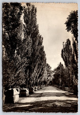 Vintage RPPC Arles France Les Alyscamps Roman Cemetery Sarcophagi Postcard picture