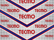 Ninja Gaiden Tecmo Arcade Control Panel Overlay CPO Textured Laminate picture