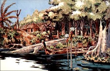 Anaheim CA Adventureland Jungle Colourpicture c1950s-60s Vintage Postcard picture