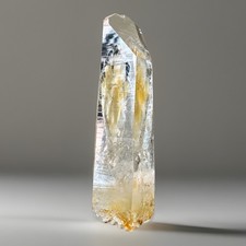 “Gilded Current” PB Mine Colombia Golden Lemurian Akashic Line Quartz Crystal picture