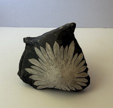 Natural Chrysanthemum Stone picture