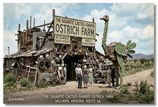 Vintage‑STYLE  ART 1930s RPPC-Cactus Ostrich Farm Williams Arizona-FAUX PHOTO picture