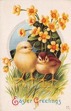 Antique Easter Card Chicks Yellow Flowers Spring Primrose Vtg Postcard D6 picture