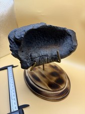 GIGANTIC LEVIATHAN CETACEAN EAR BONE FOSSIL - POSSIBLY RECORD SIZE HUGE EAR BONE picture