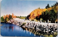 Fort Frances Ontario Postcard Unposted Permachrome Scenic Northern Highways Lake picture