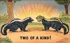 WWII Anti-Japan Propganda Comic Skunks c1942 Vintage Postcard picture